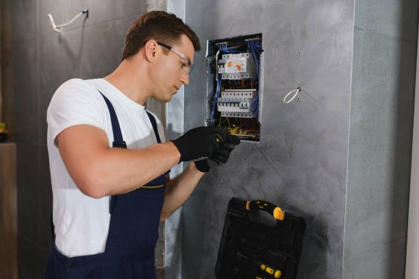 Best Industrial Electrical Services  in Perry, LA