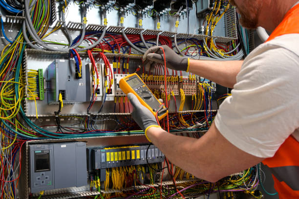 Best Electric Panel Repair  in Perry, LA